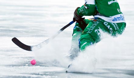 Bandy